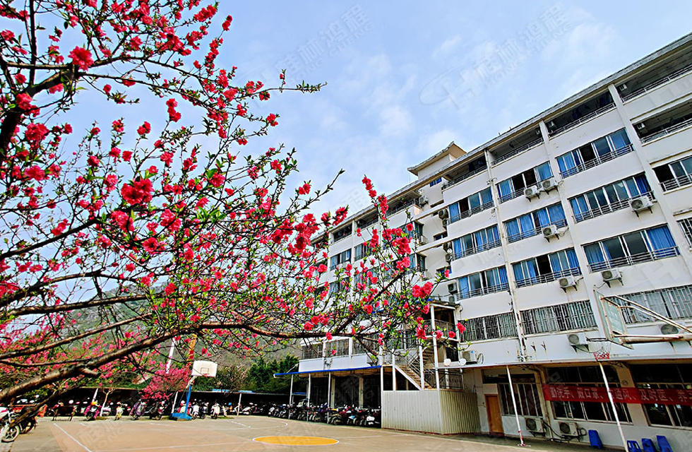 春暖花開，桂林鴻程誠邀您共賞春景！