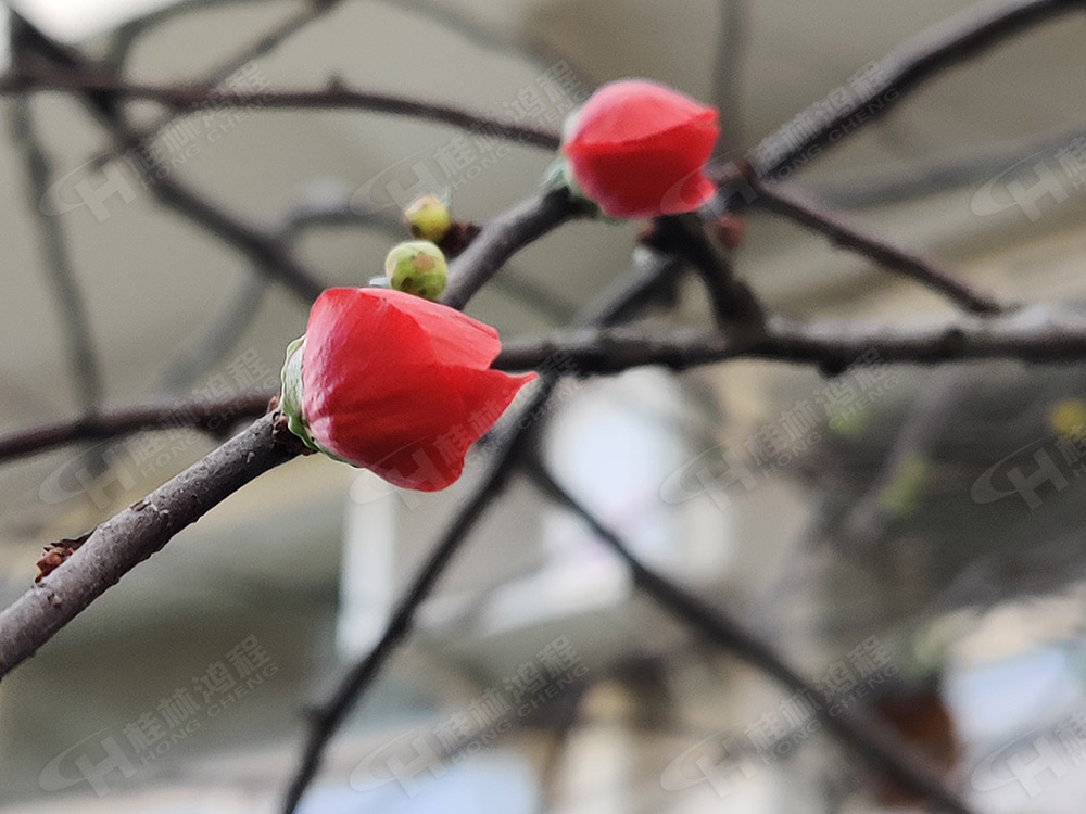 桂林鴻程花團錦簇，滿園春色，邀您一起共賞春景，共商大計！