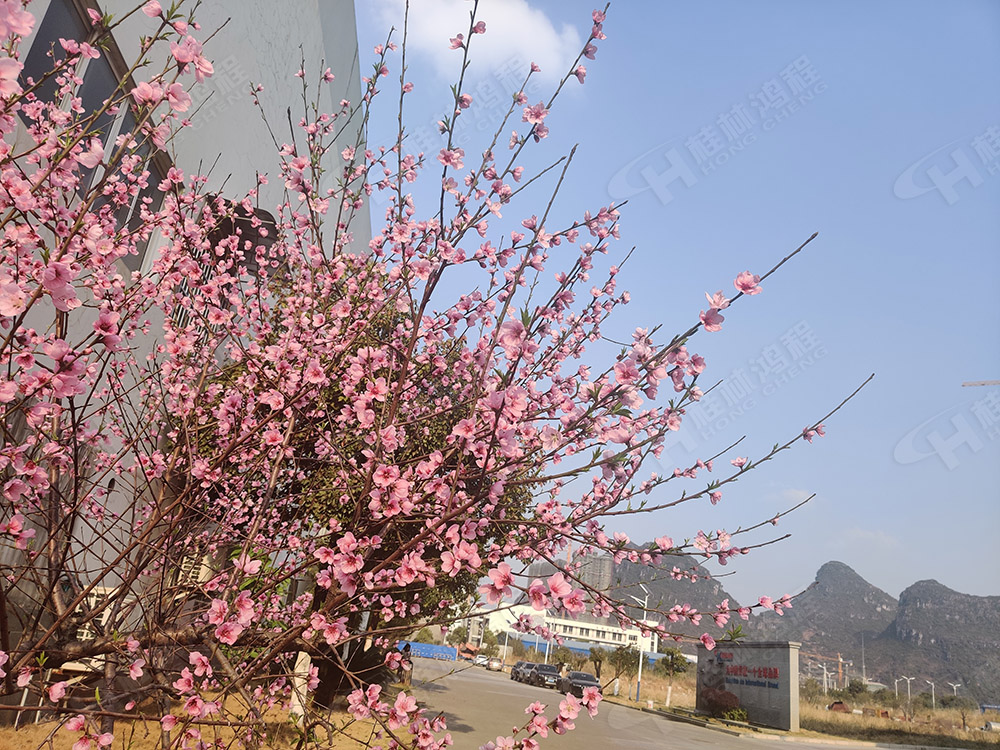 桂林鴻程花團錦簇，滿園春色，邀您一起共賞春景，共商大計！